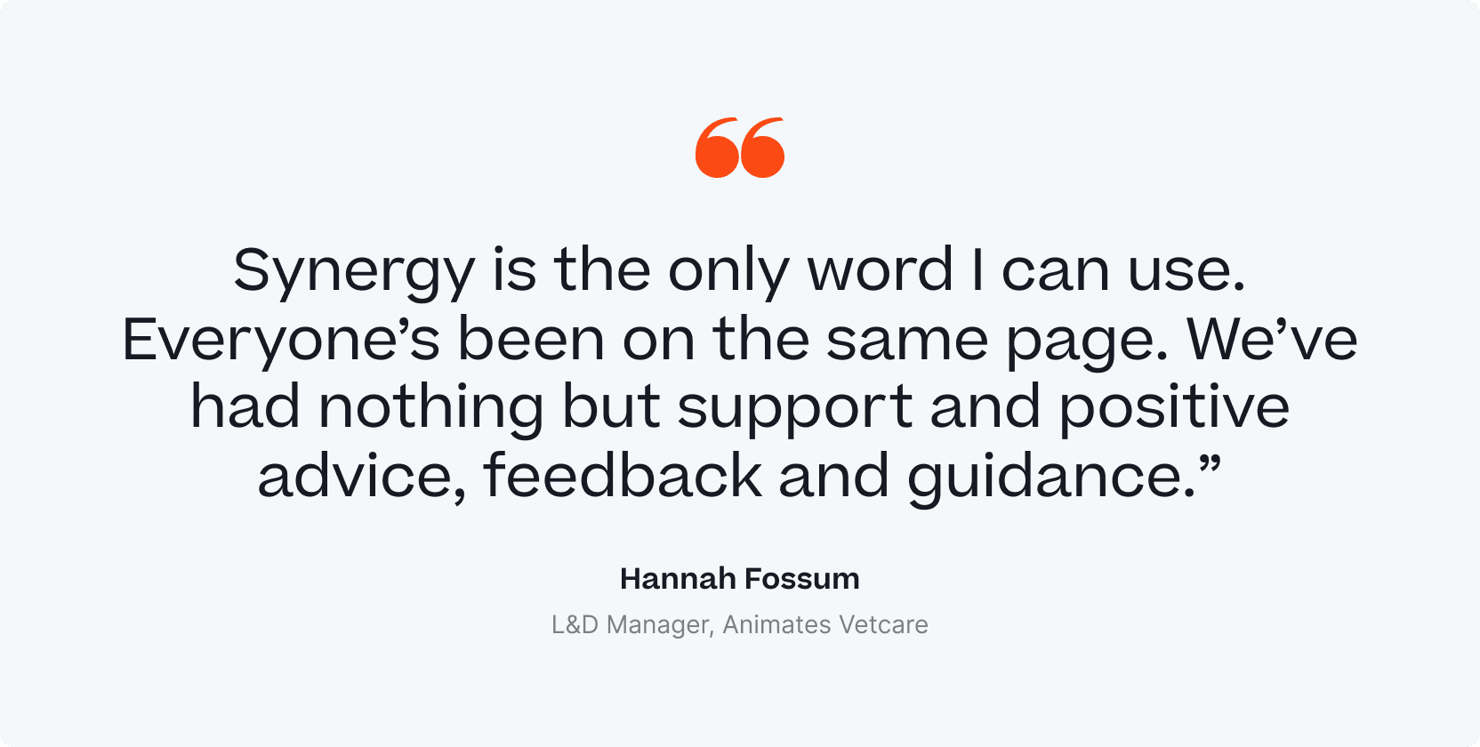A quote from a L&D Manager stating that they have synergy.