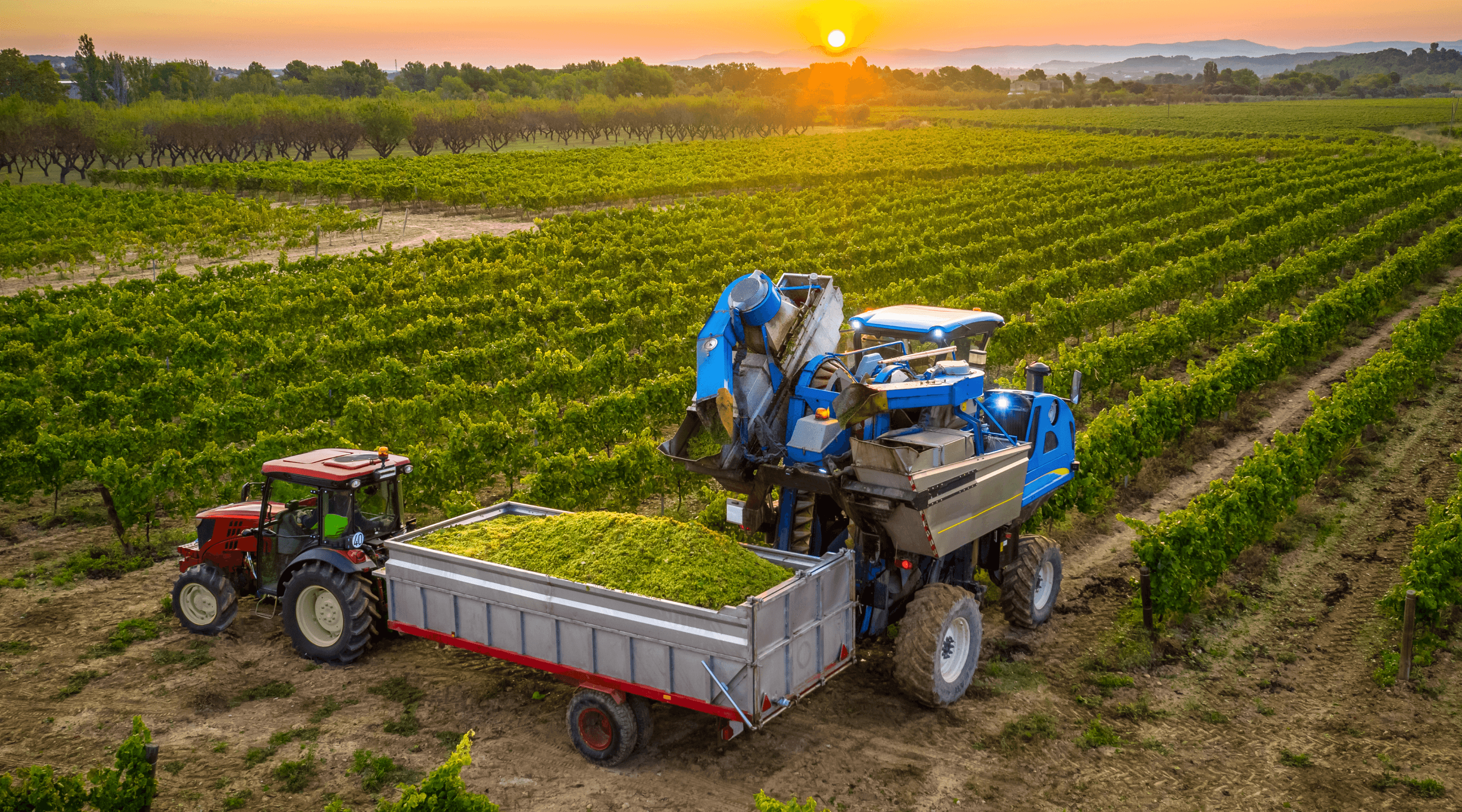 AgFirst Farm Credit Bank reaps a plentiful harvest with new employee learning opportunities