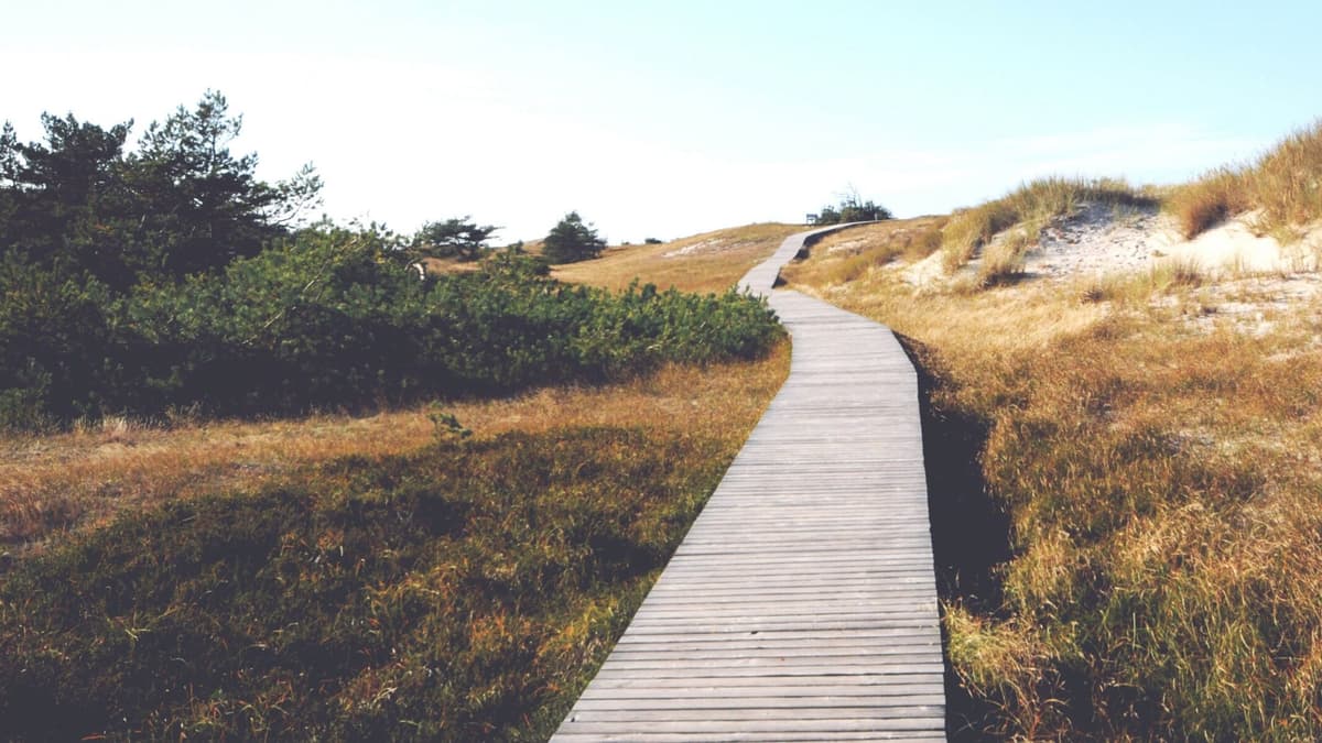 Regional Report: Addressing the Global Skills Shortage