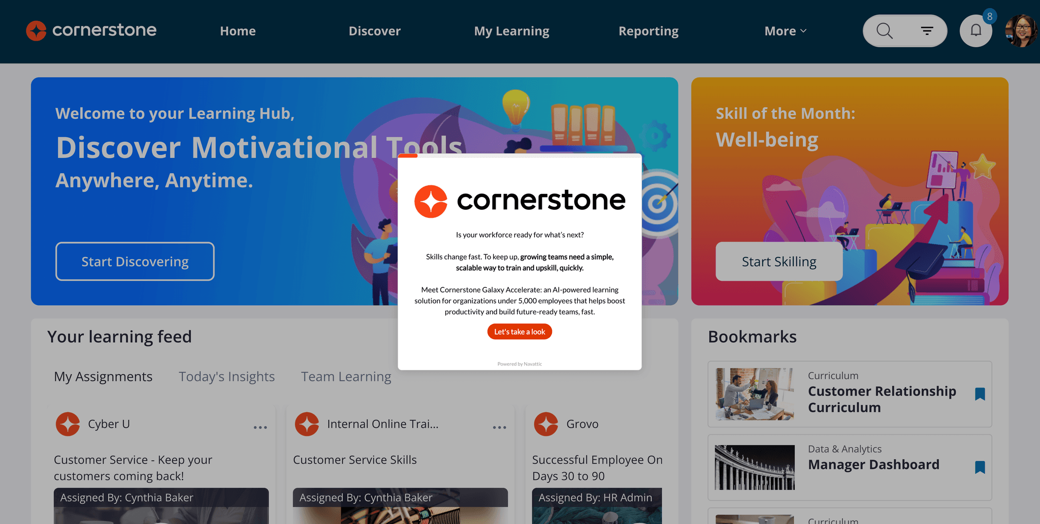 Beyond boundaries: Introducing Cornerstone Galaxy